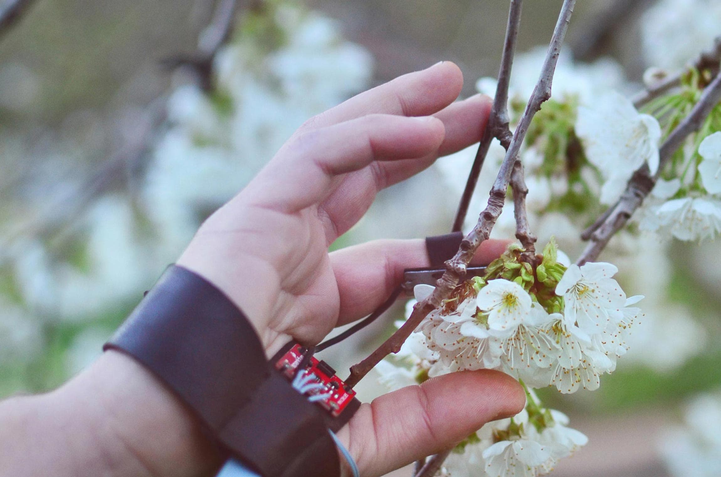 Theo 3 collaborative, acoustic, musical instrument